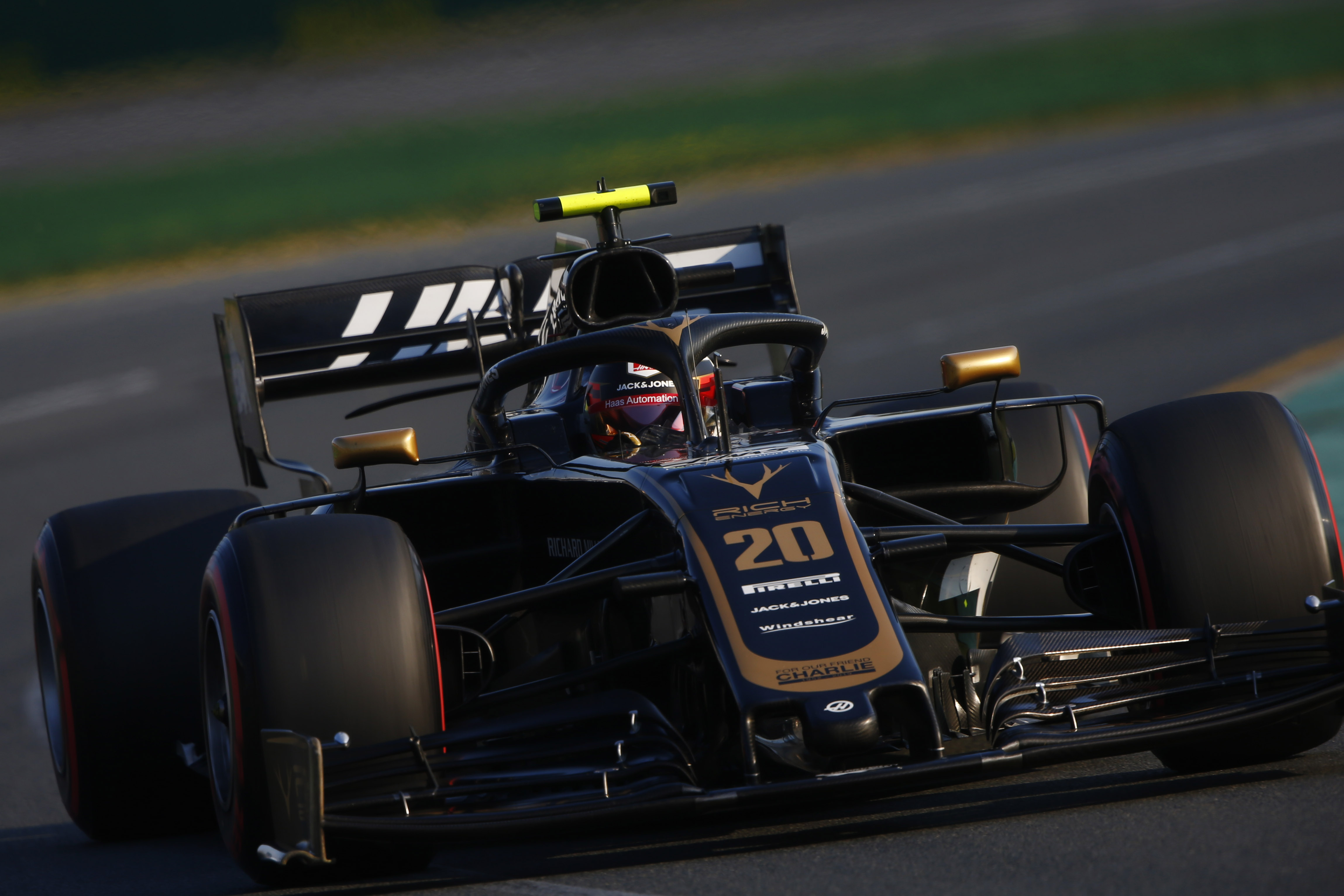 Magnussen.jpg