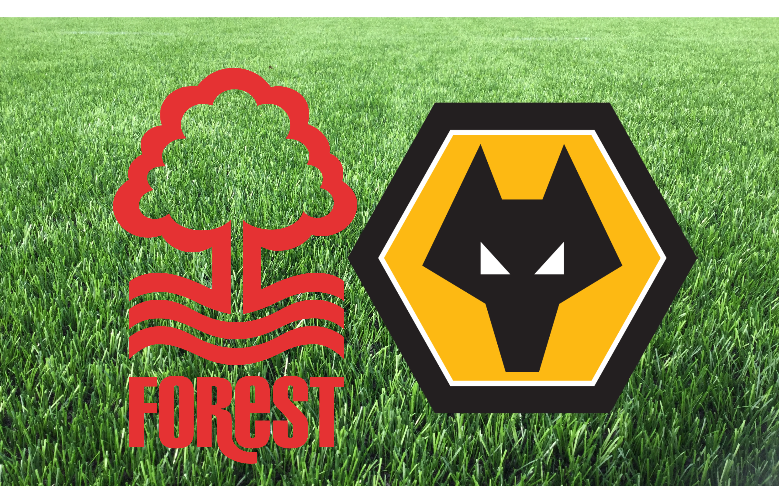 Nottingham Forest vs Wolves – Sport Grill Nottingham Forest vs Wolves – Sport Grill