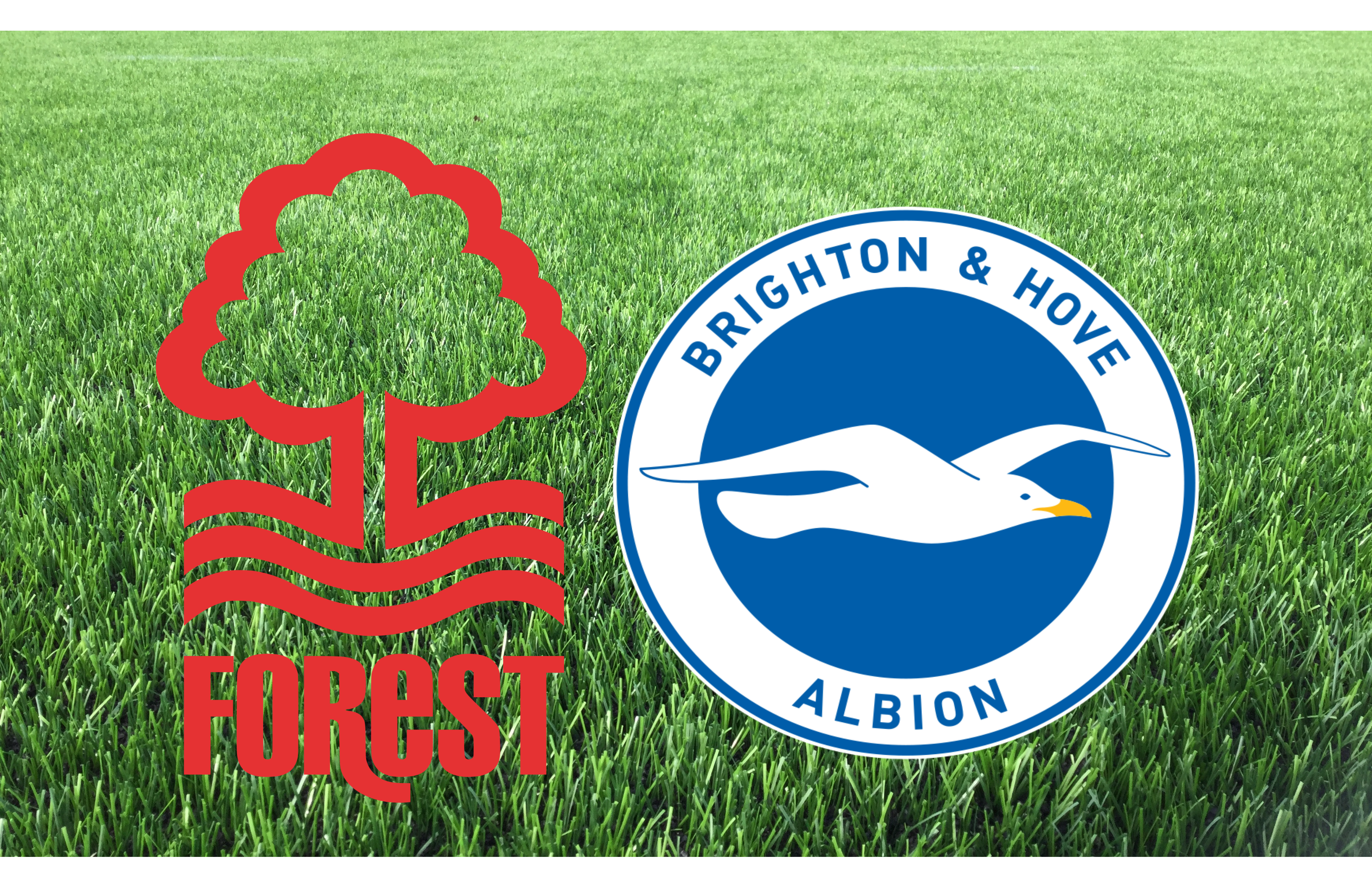 2024-25 Premier League: Week 24 – Forest vs Brighton – Sport Grill